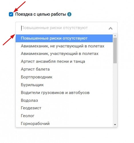 Поездка с целью работы