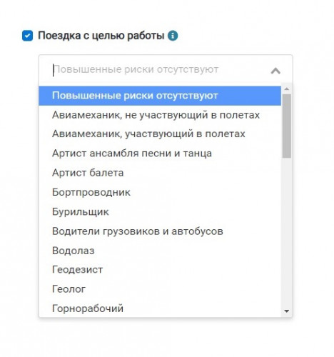 Поездка с целью работы