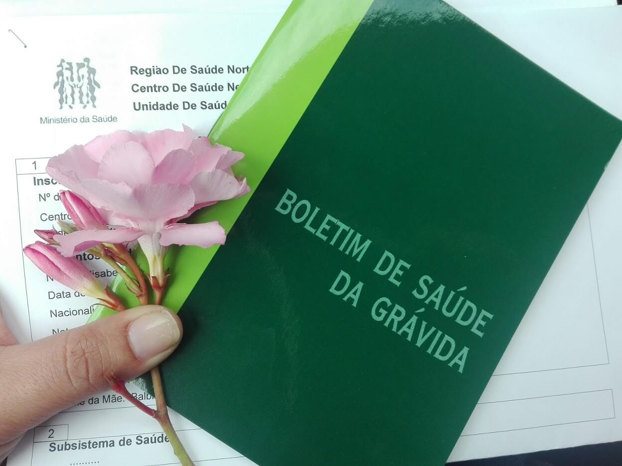 Брошюра о Беременности Boletim de Saúde da Grávida