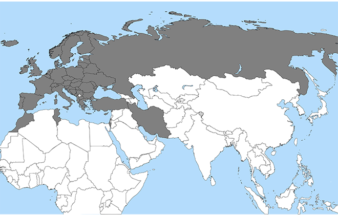 Зеленая карта это осаго